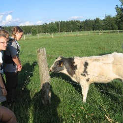fotos kamp 2009-2010 jong-givers 571 - Scouts en Gidsen Zaventem 